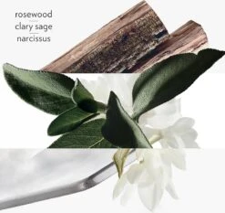 Hermes H24 Eau De Toilette Spray 50 Ml -Parfum Luxe Verkoopwinkel 1200x1133