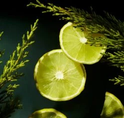 RITUALS Life Is A Journey - Homme Car Perfume - 6 Ml -Parfum Luxe Verkoopwinkel 1200x1136 3