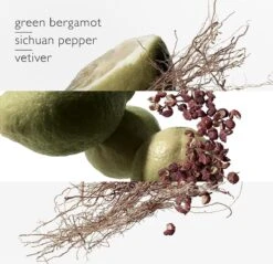 Hermes - Terre D´Hermes Eau Intense Vetiver - Eau De Parfum - 50ML -Parfum Luxe Verkoopwinkel 1200x1161