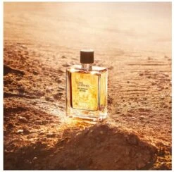 Hermes - Terre D´Hermes Eau Intense Vetiver - Eau De Parfum - 50ML -Parfum Luxe Verkoopwinkel 1200x1186