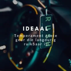 RUSH Autoparfum Sweet Sense - Auto Geurverfrisser - Parfum Voor Dames En Heren -Parfum Luxe Verkoopwinkel 1200x1200 284