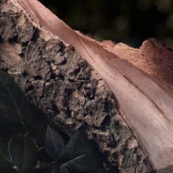 Chloé Chloé Naturelle Eau De Parfum - 30 Ml -Parfum Luxe Verkoopwinkel 1200x1200 84