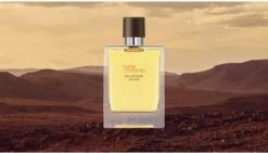 Hermes - Terre D´Hermes Eau Intense Vetiver - Eau De Parfum - 50ML -Parfum Luxe Verkoopwinkel 1200x686