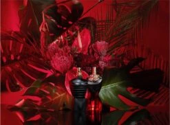 Jean Paul Gaultier - La Belle Le Parfum Eau De Parfum Intense - 100 Ml 28 Jean Paul Gaultier - La Belle Le Parfum Eau De Parfum Intense - 100 Ml -Parfum Luxe Verkoopwinkel 1200x883