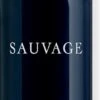 Dior Sauvage Mannen 300 Ml