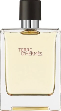 Hermes Terre D'Hermes 100 Ml - Eau De Toilette - Herenparfum -Parfum Luxe Verkoopwinkel 667x1200 2