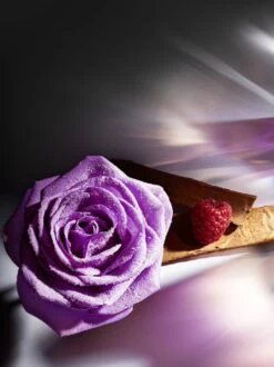 Lancôme Trésor Midnight Rose 50 Ml - Eau De Parfum - Damesparfum -Parfum Luxe Verkoopwinkel 899x1200 3